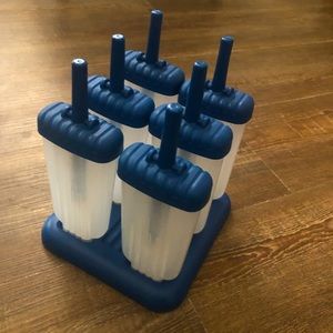 Homemade popsicle set